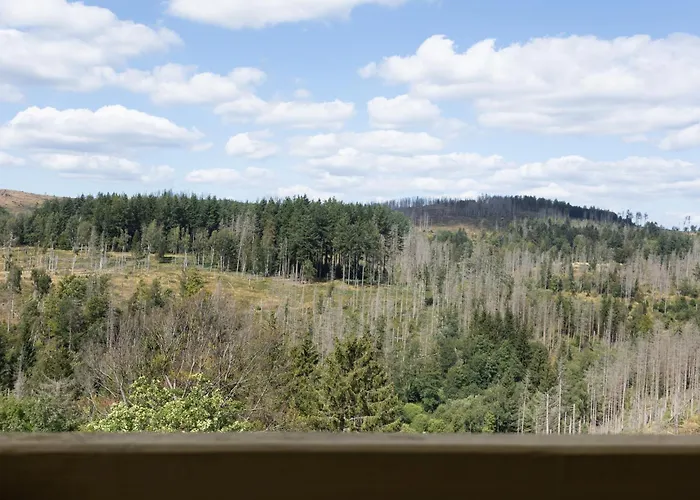 Morgenrot Lodge, Im Harz, Mit Schwimmbad Und Sauna 公寓